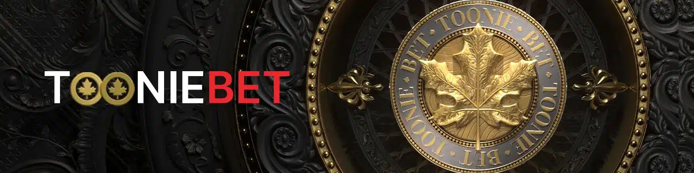 Découvrir Toonibet Casino